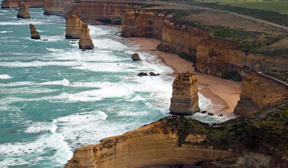 Sow and Piglets 12 Apostles