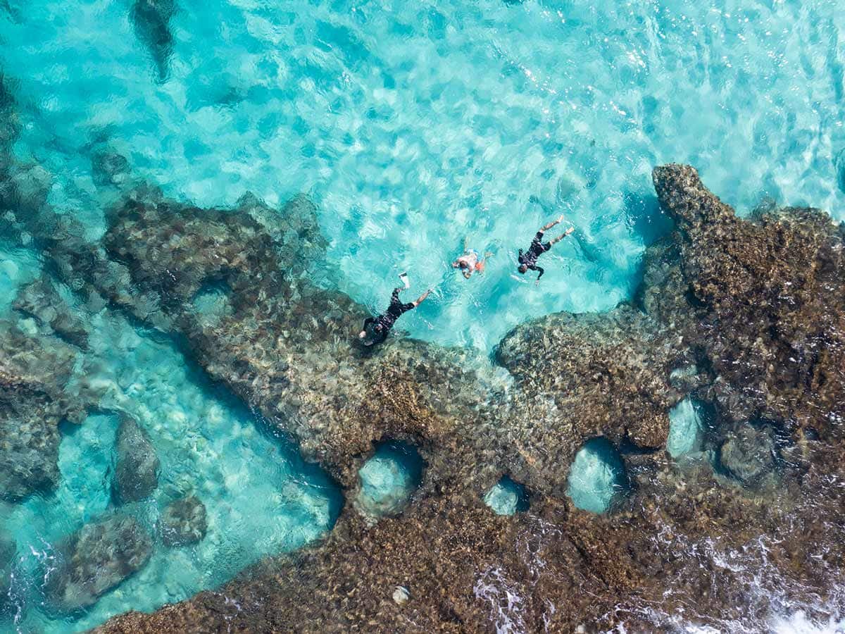 Snorkel Coral Bay