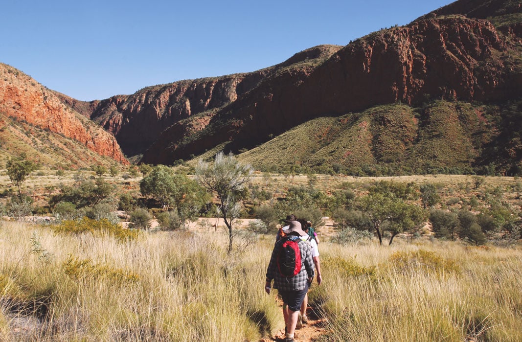 Larapinta Trail, Northern Territory