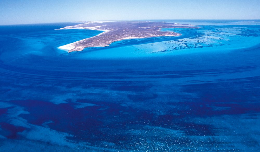 Dirk Hartog Island South Passage snorkelling off WA's Shark Bay.