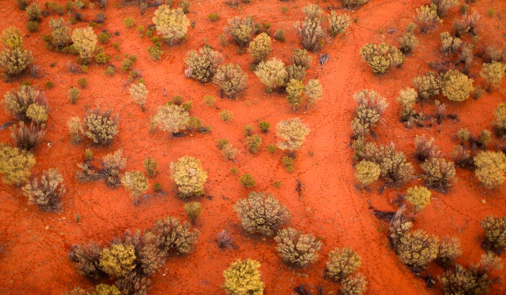 hot air ballooning outback Alice Springs