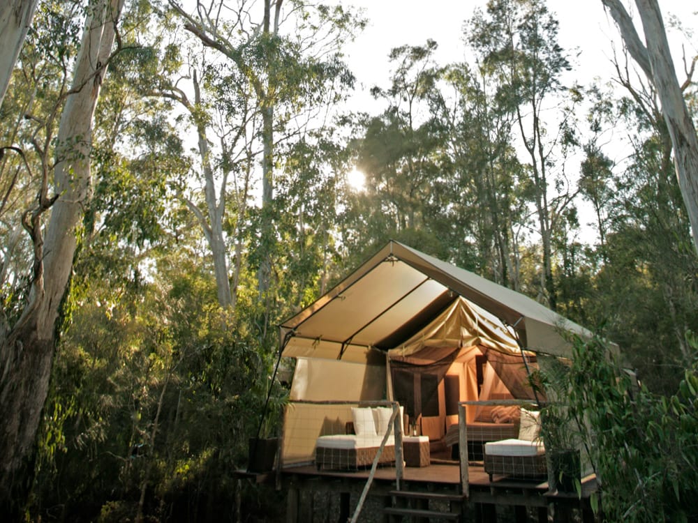 Paperbark Camp in Jervis Bay.