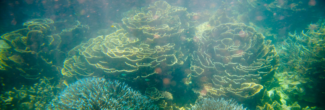 Coral Coast & Ningaloo