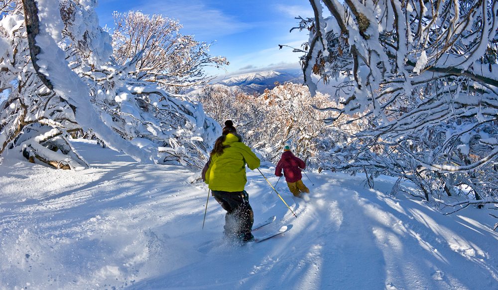 Powder skiing Wombat Valley Mt Buller