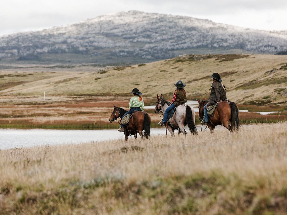 Bogong Horseback Adventures