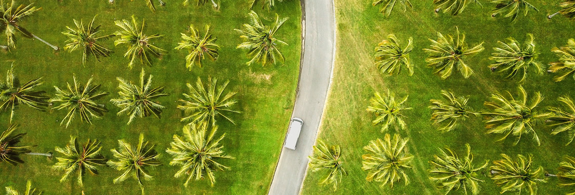 Cairns Queensland