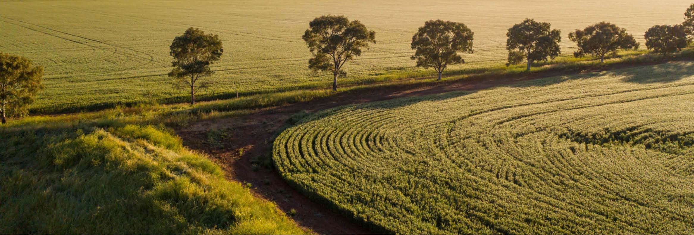 Aerial view of Clare Valley wineries