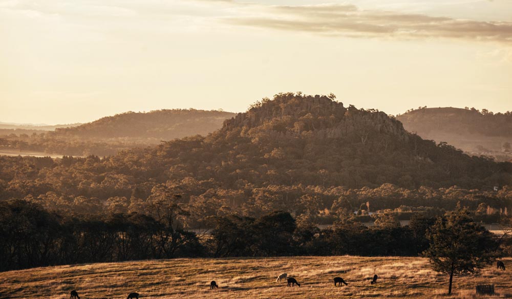 llama trek hanging rock