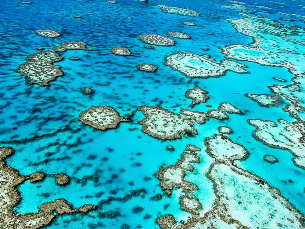 Great Barrier Reef, QLD