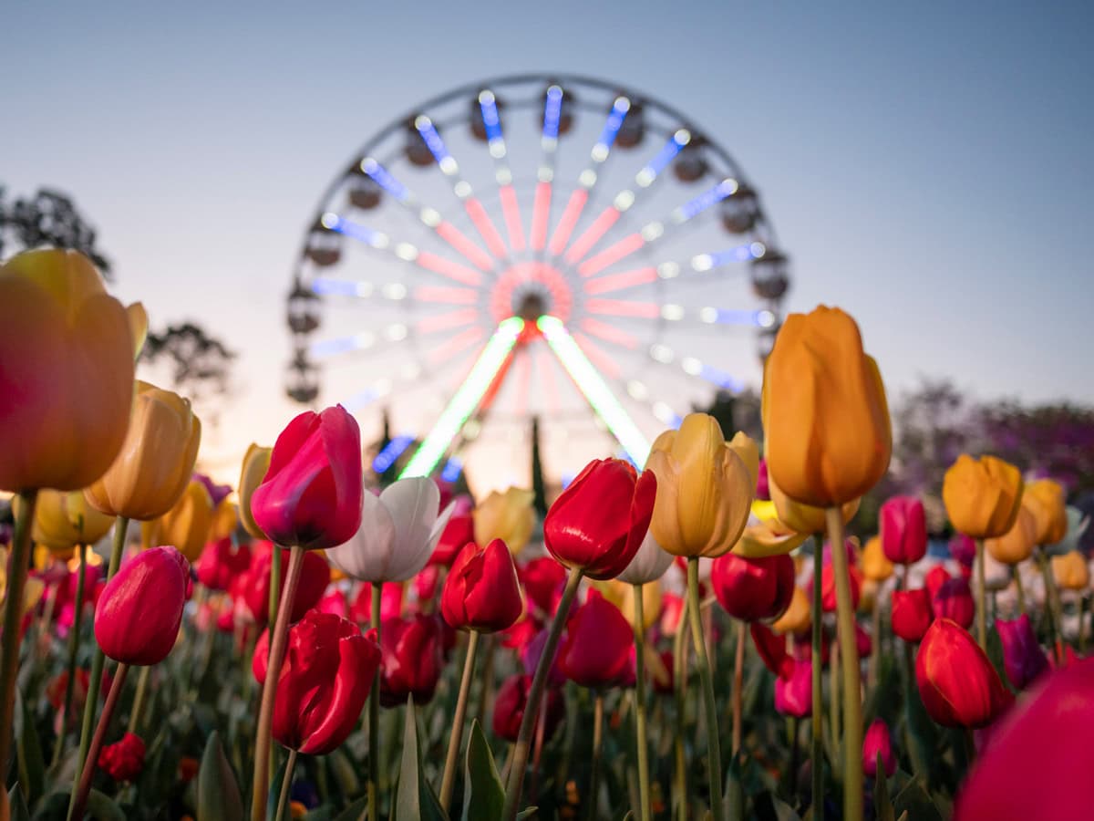 Floriade in Canberra