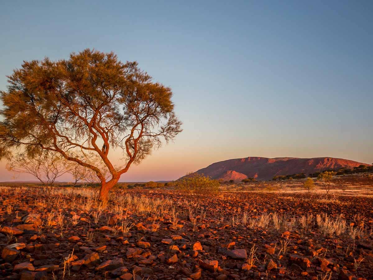 Landscape views of the Golden Outback, Western Australia