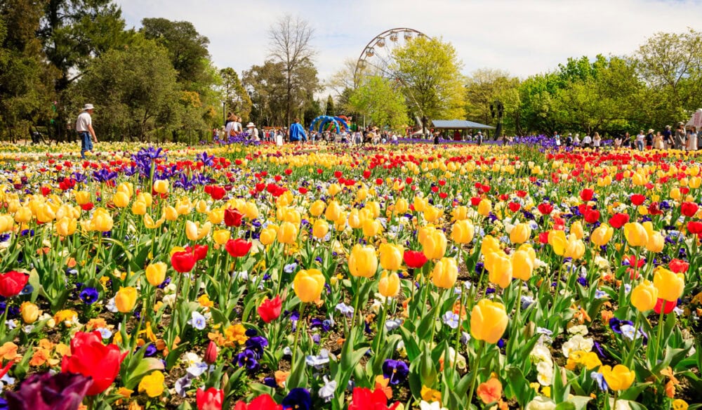 Floriade flower festival in Canberra