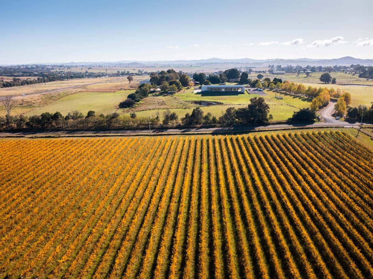 Stomp Festival Canberra Wine District - Tourism Australia