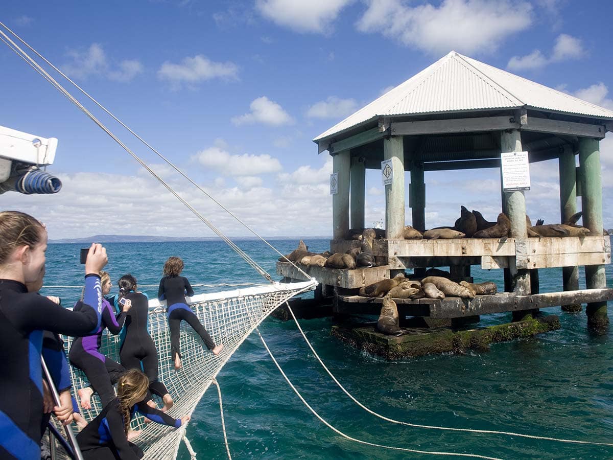 Chinamans Hat, Port Phillip Bay, Geelong, VIC, Australia