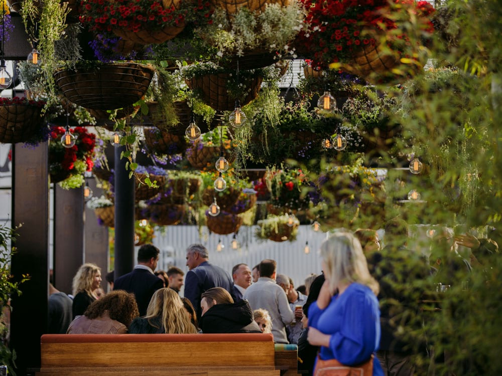 In the hanging garden