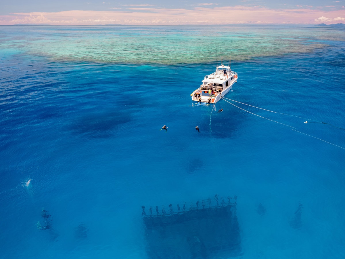 Adrenaline Snorkel and Dive Museum of Underwater Art