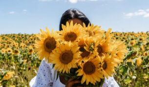 a woman holding a bunch of sunflowers at Pick Your Own Sunflowers, VIC