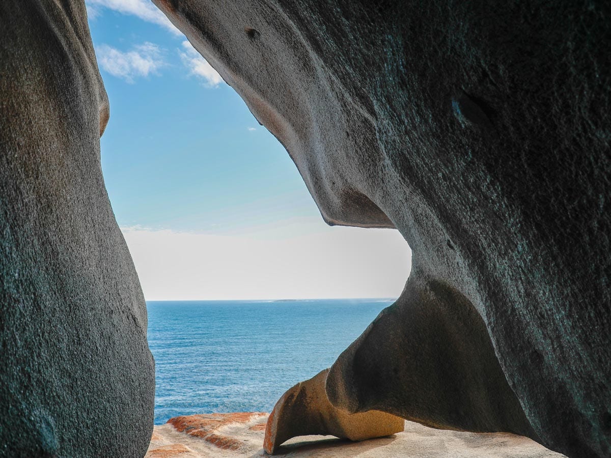 Unusual facts about Kangaroo Island