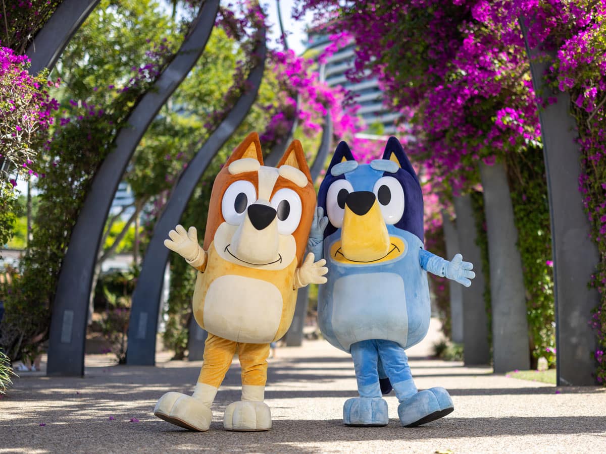 Bluey and Bingo along the Grand Arbour’s vibrant Bougainvillea flower display