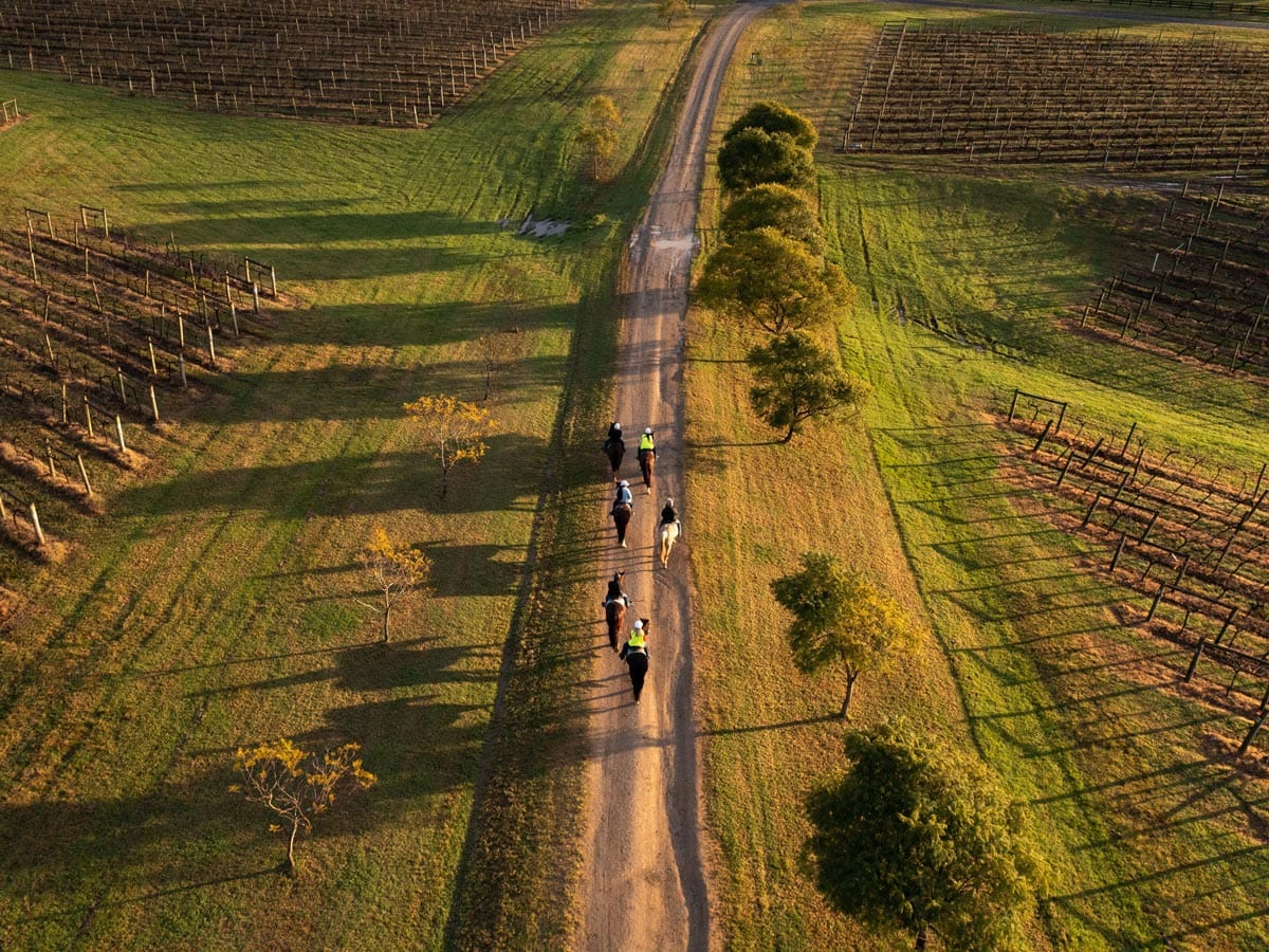 an aerial view of Hunter Valley Horses, Pokolbin