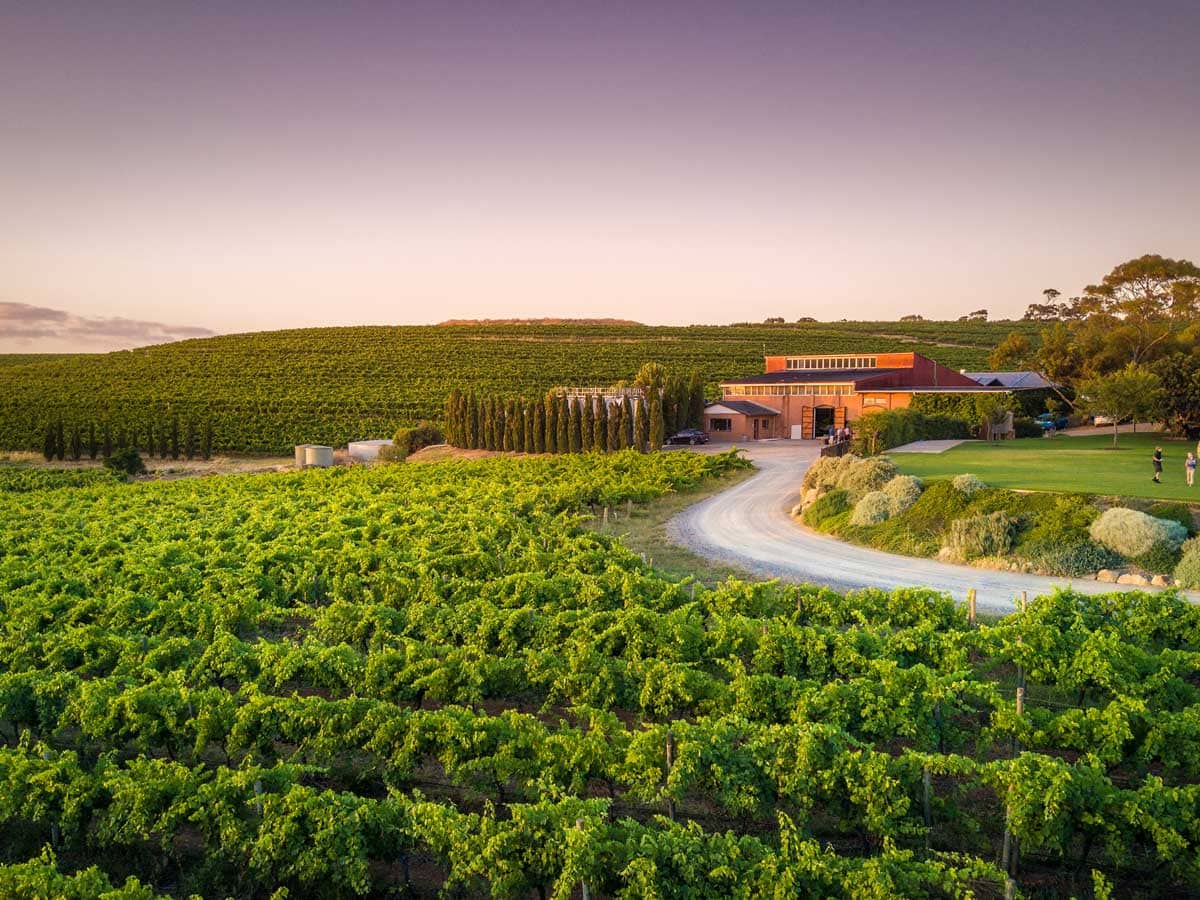 the outside view of the expansive Coriole vineyards