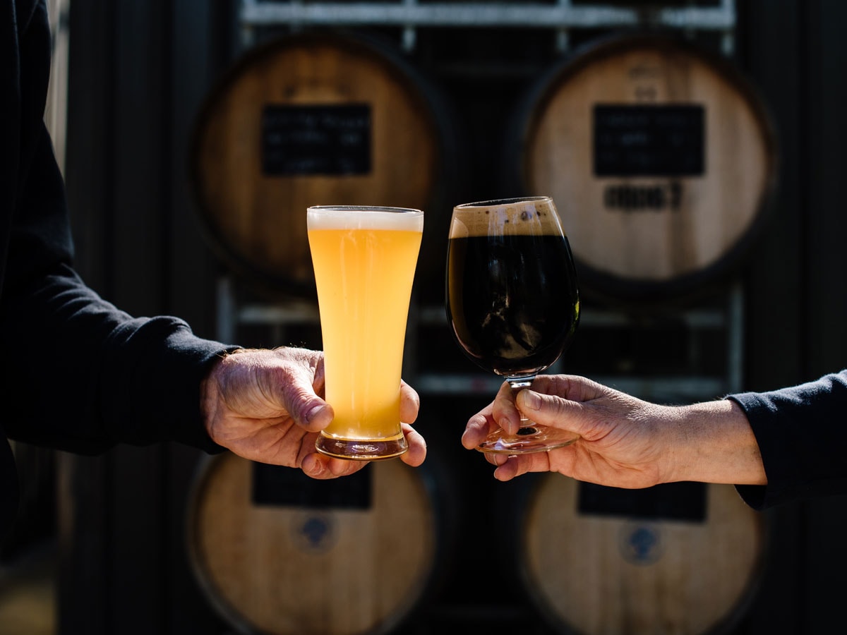 two people clinking their glasses filled with cold brew