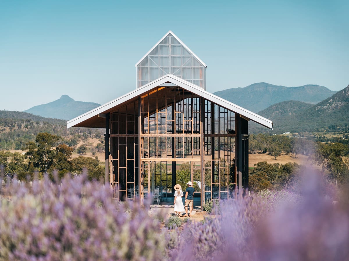 a lavender farm at Kooroomba Estate