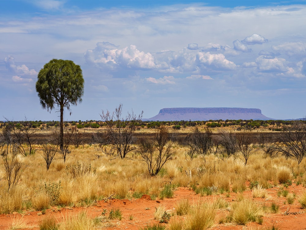 Mt Connor Northern Territory