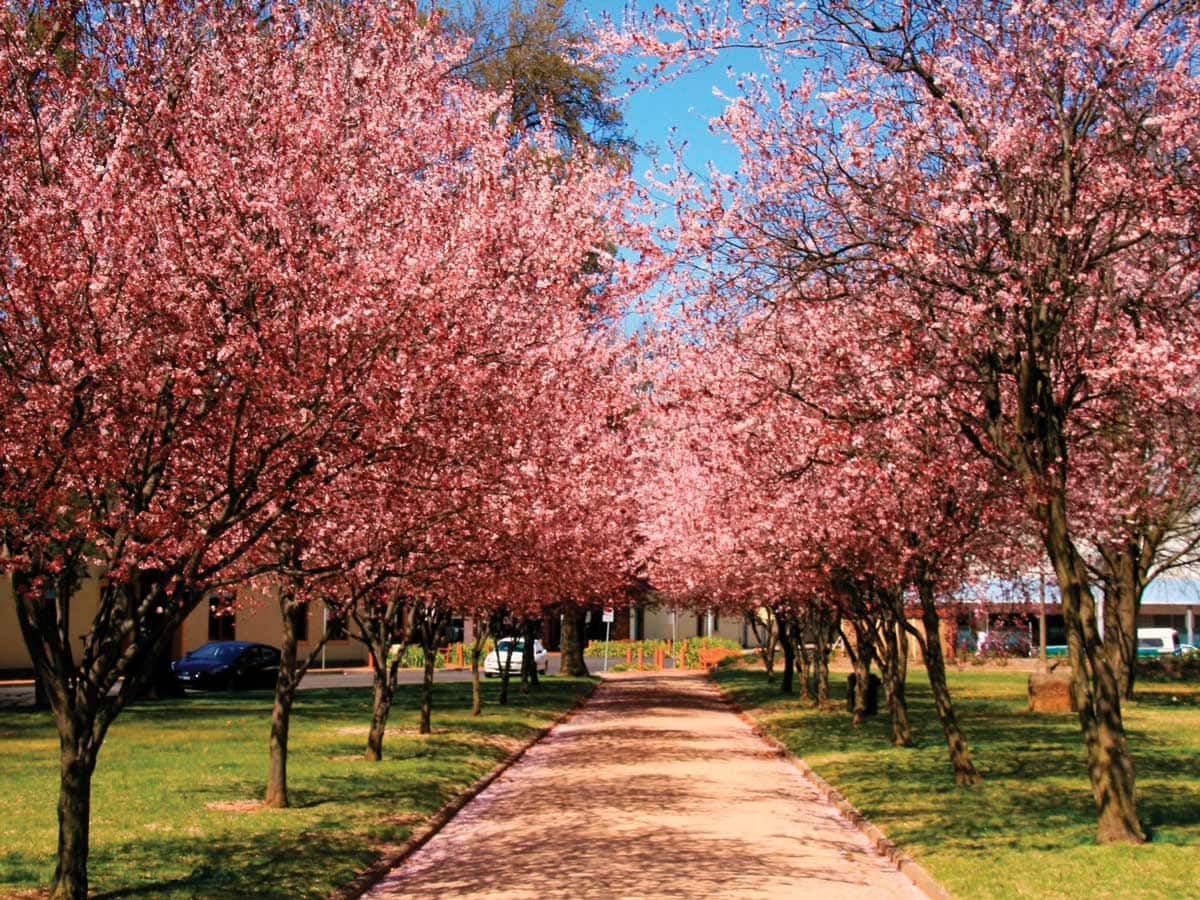 views of Orange Spring