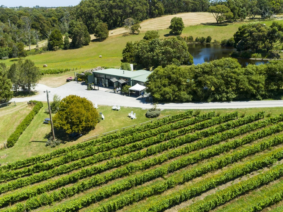 Aerial shot of Waratah Hills Vineyard