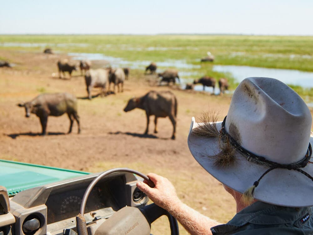 Kakadu Wilderness Safari