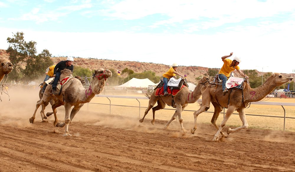 Lasseters Camel Cup Alice Springs finish line