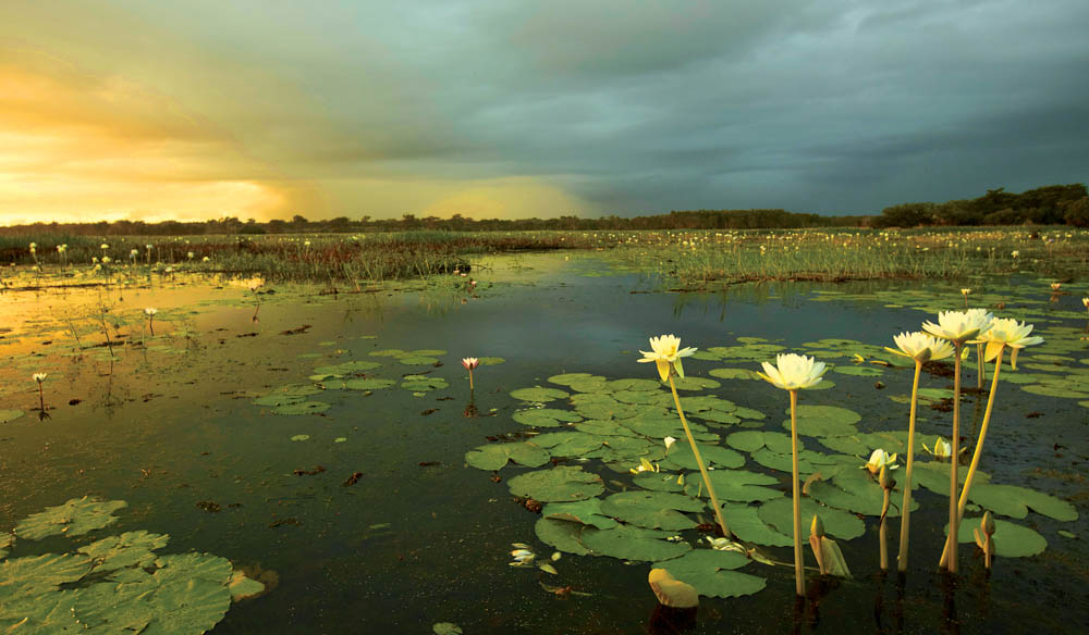 landscape kakadu nothern territory holdays attractions culture outback