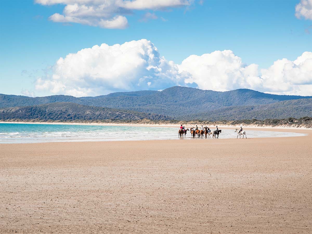 Narawntapu National Park