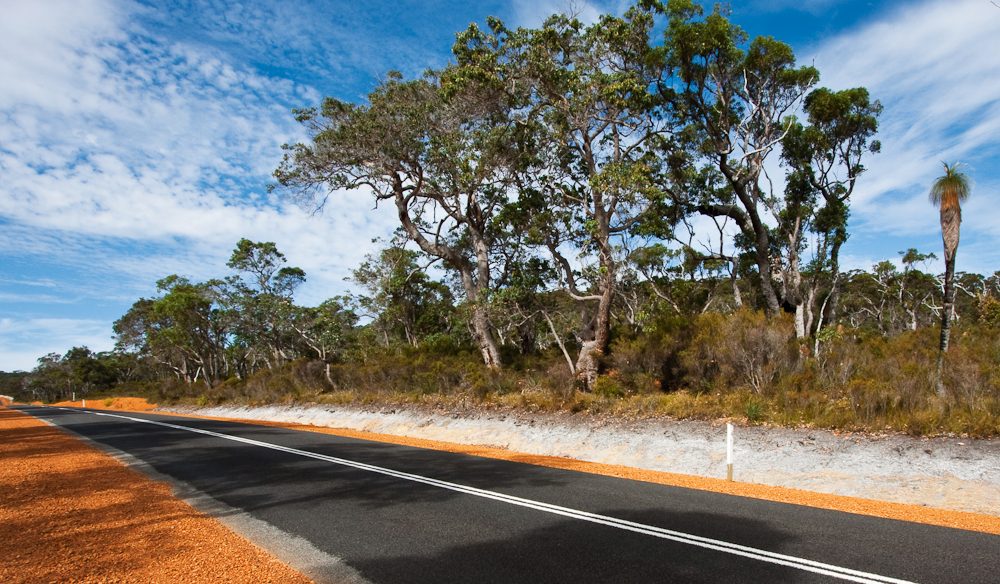 Cruising through the diverse Walpole-Nornalup National Park.