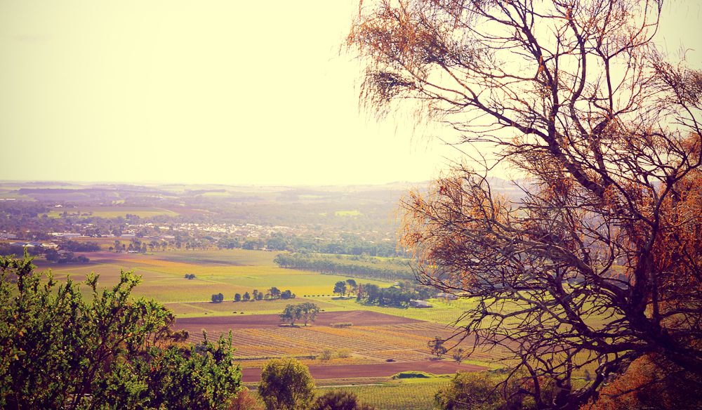 Barossa's vintage town, Tanunda.