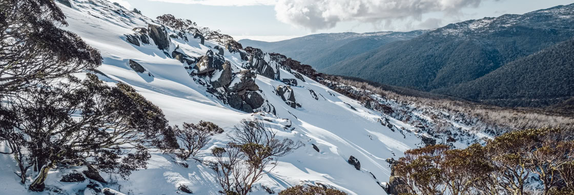 Thredbo