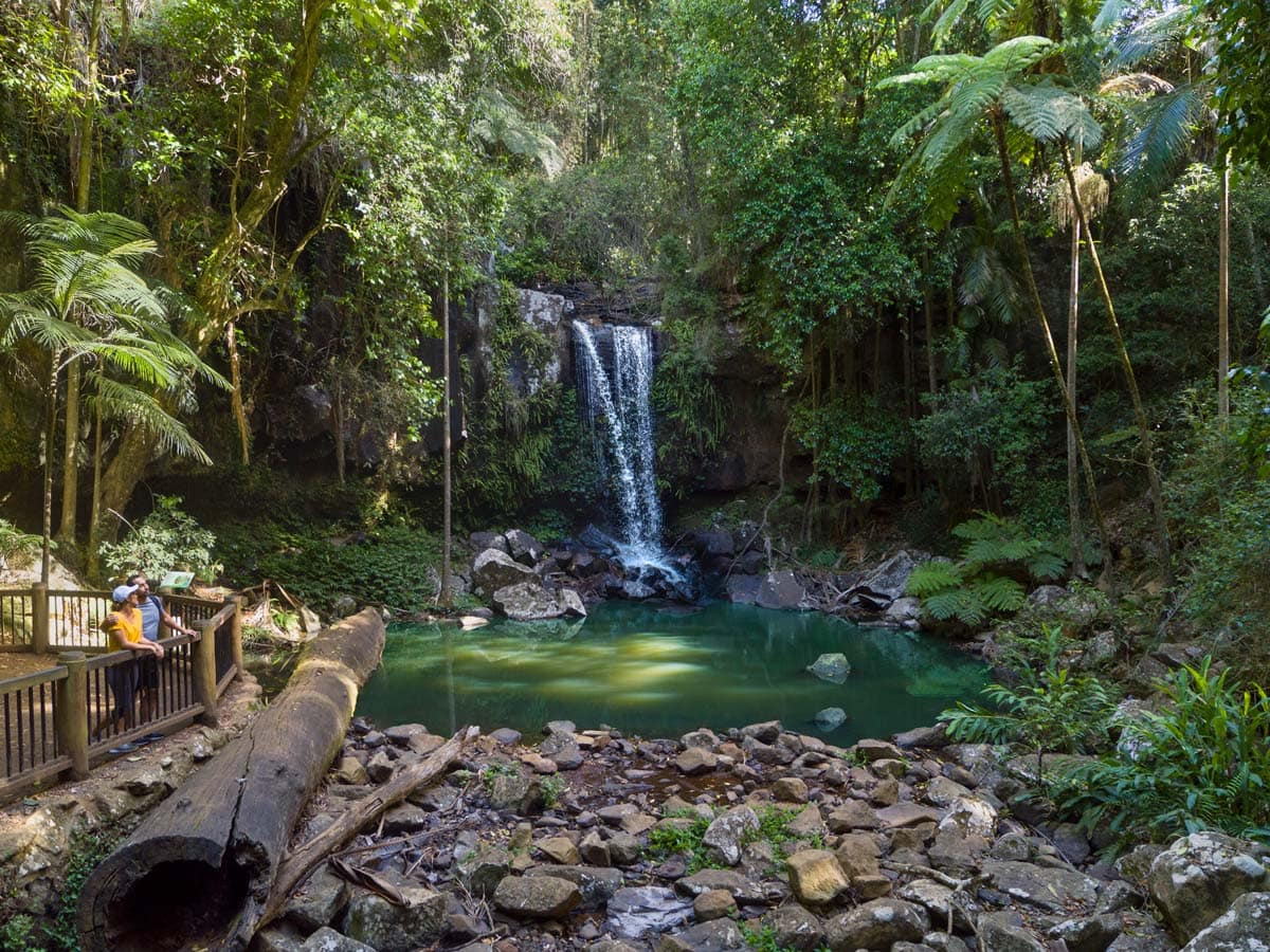 Curtis Falls Walking Track Tamborine National Park Gold Coast Hinterland