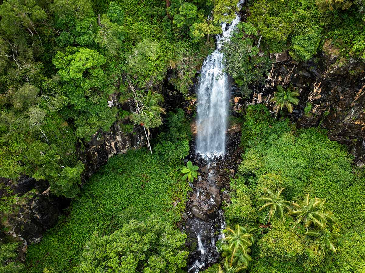 gondwana rainforest experiences, Cameron Falls at Tamborine Mountain