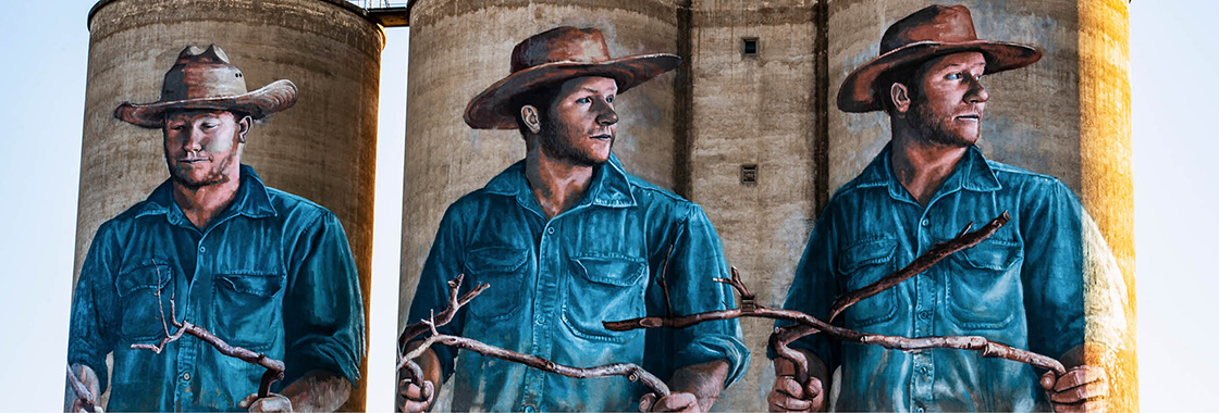 Art on silos at Tamworth