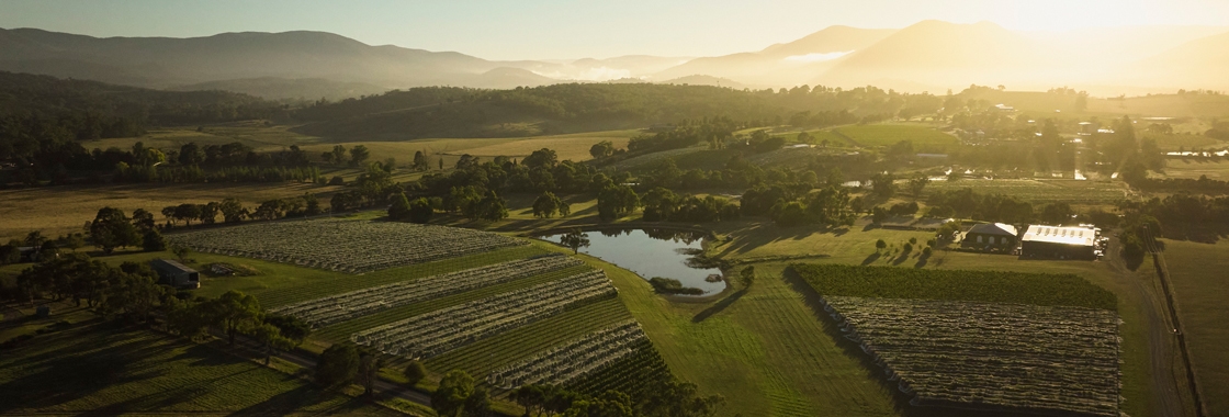 Yarra Valley