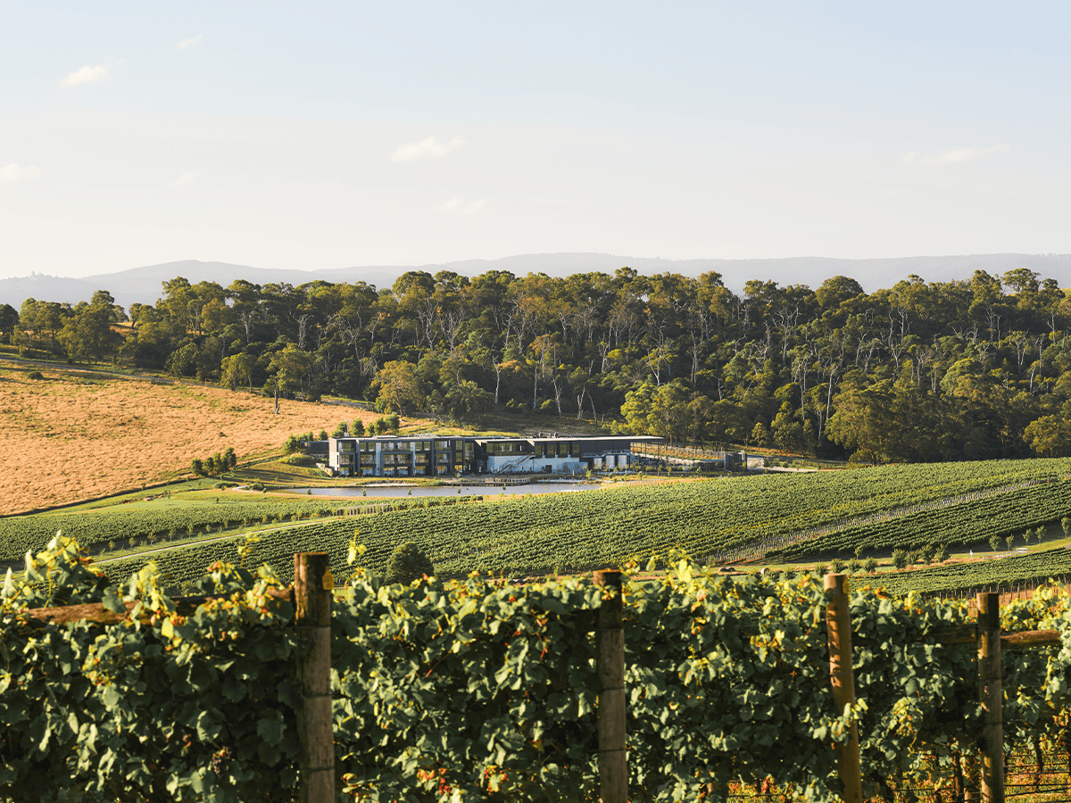 Yarra Valley wineries